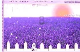 僵尸辨色球